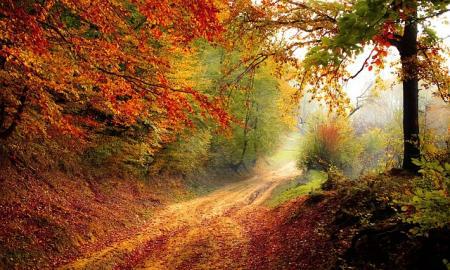 podzim cesta